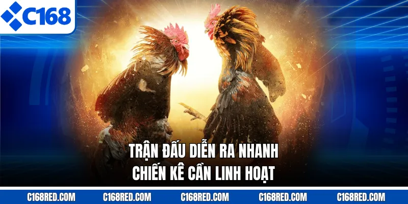 Trận đấu diễn ra nhanh, chiến kê cần linh hoạt